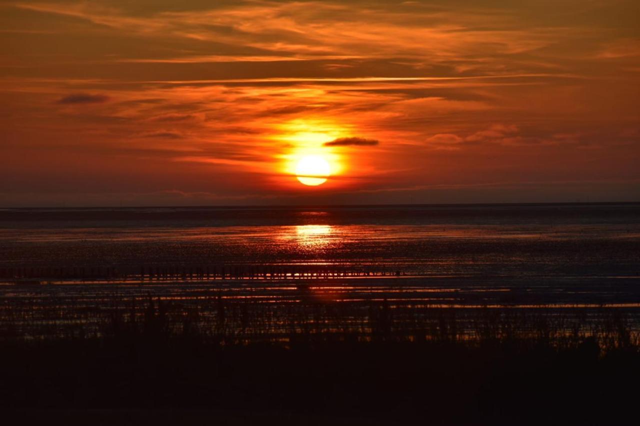 Nordseedeich Friedrichskoog-Spitz Exteriér fotografie